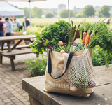 Subscription Options