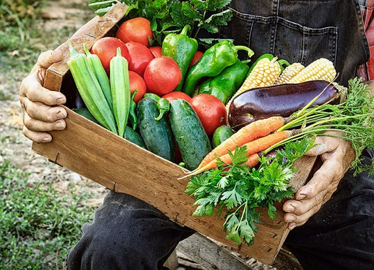 Large Box, Bi-Weekly Delivery - $99.99 Monthly Payment