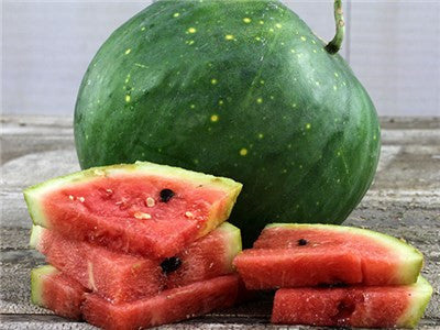 Watermelon Seedlings